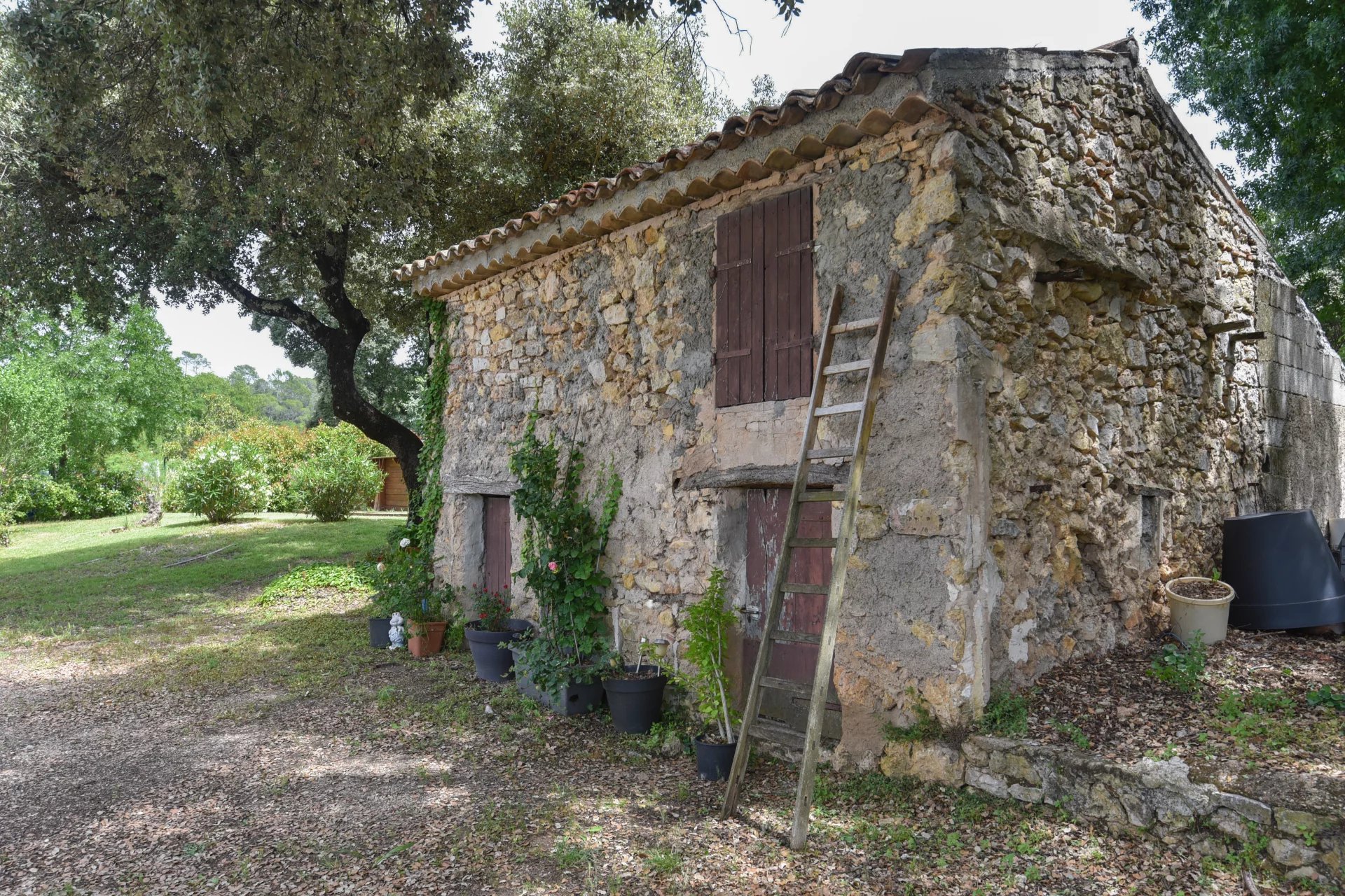 10028 Provence (3).jpg