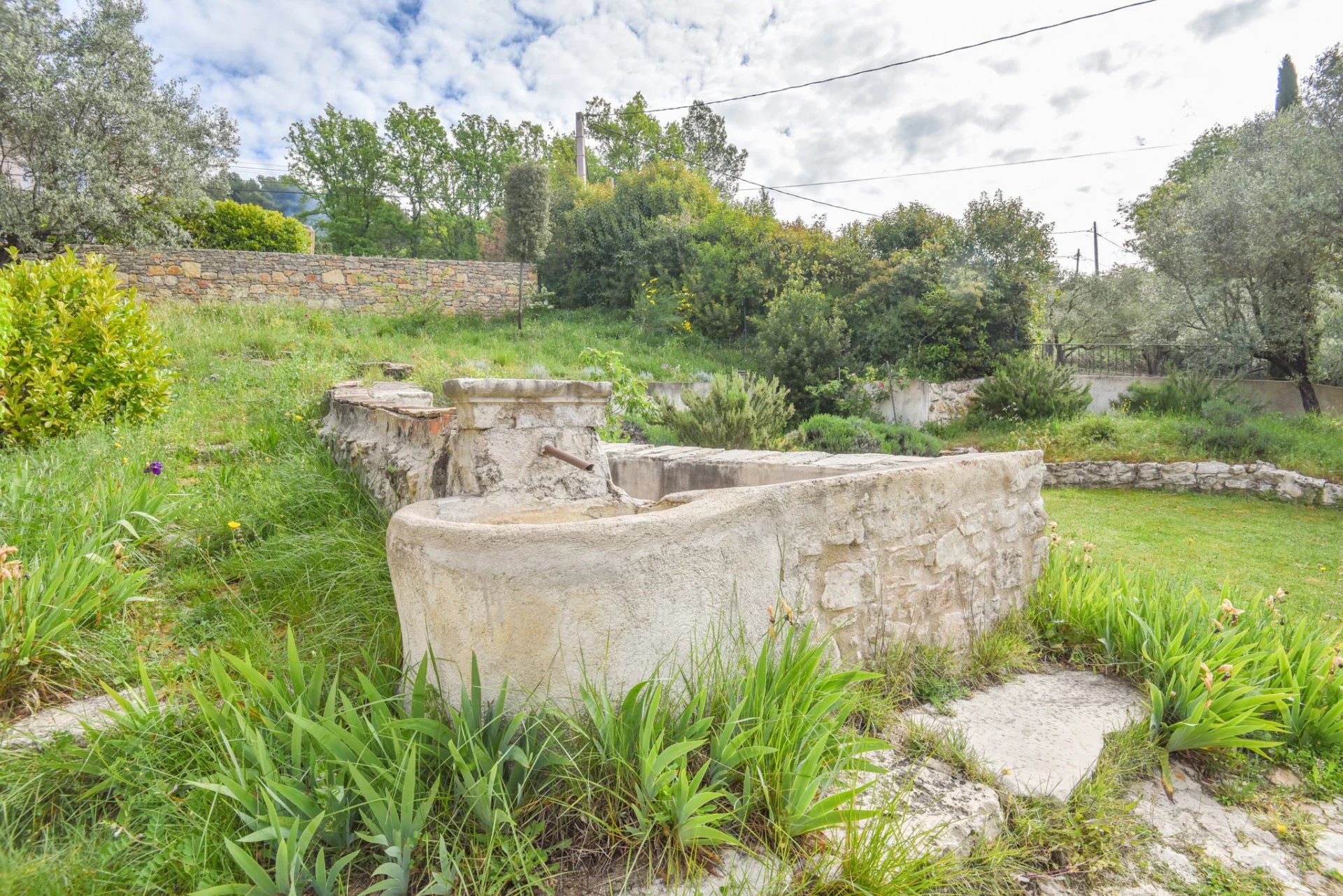 10079 Provence (16).jpg