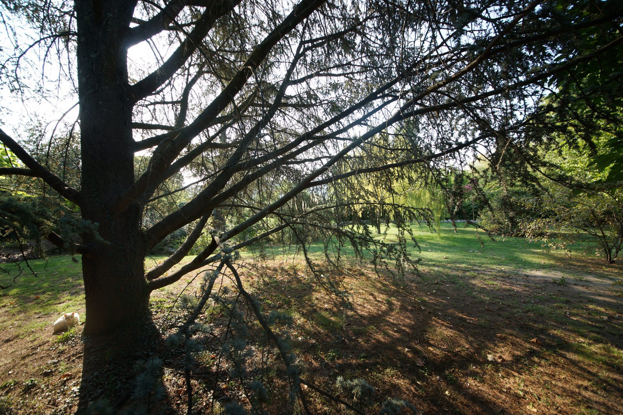 19.jpg