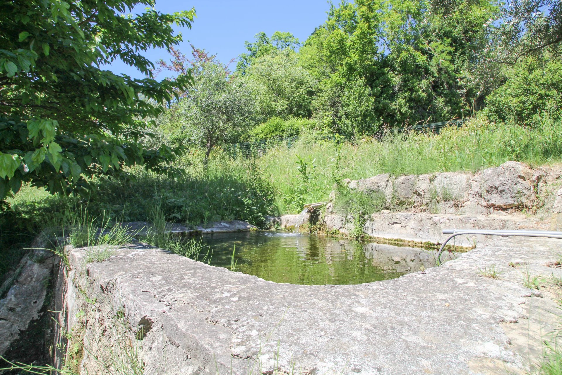 3321 Provence (1).jpg