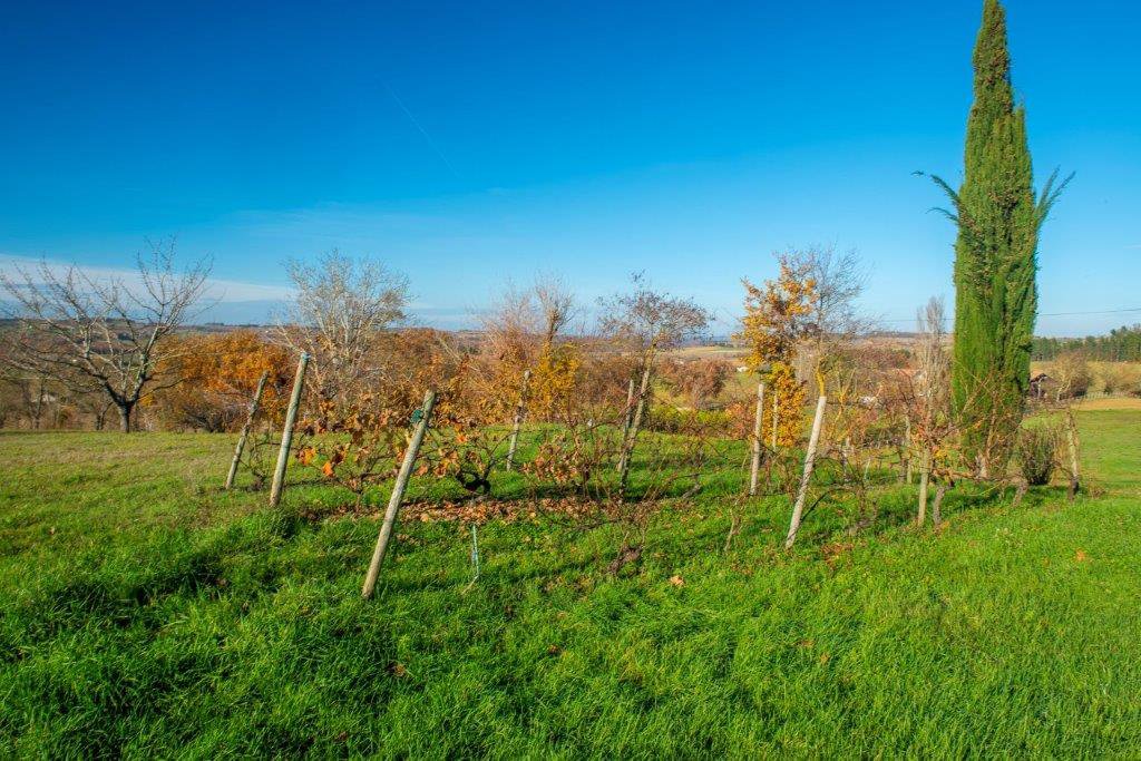 B7D France ref 97377 Gascogne (17).jpg