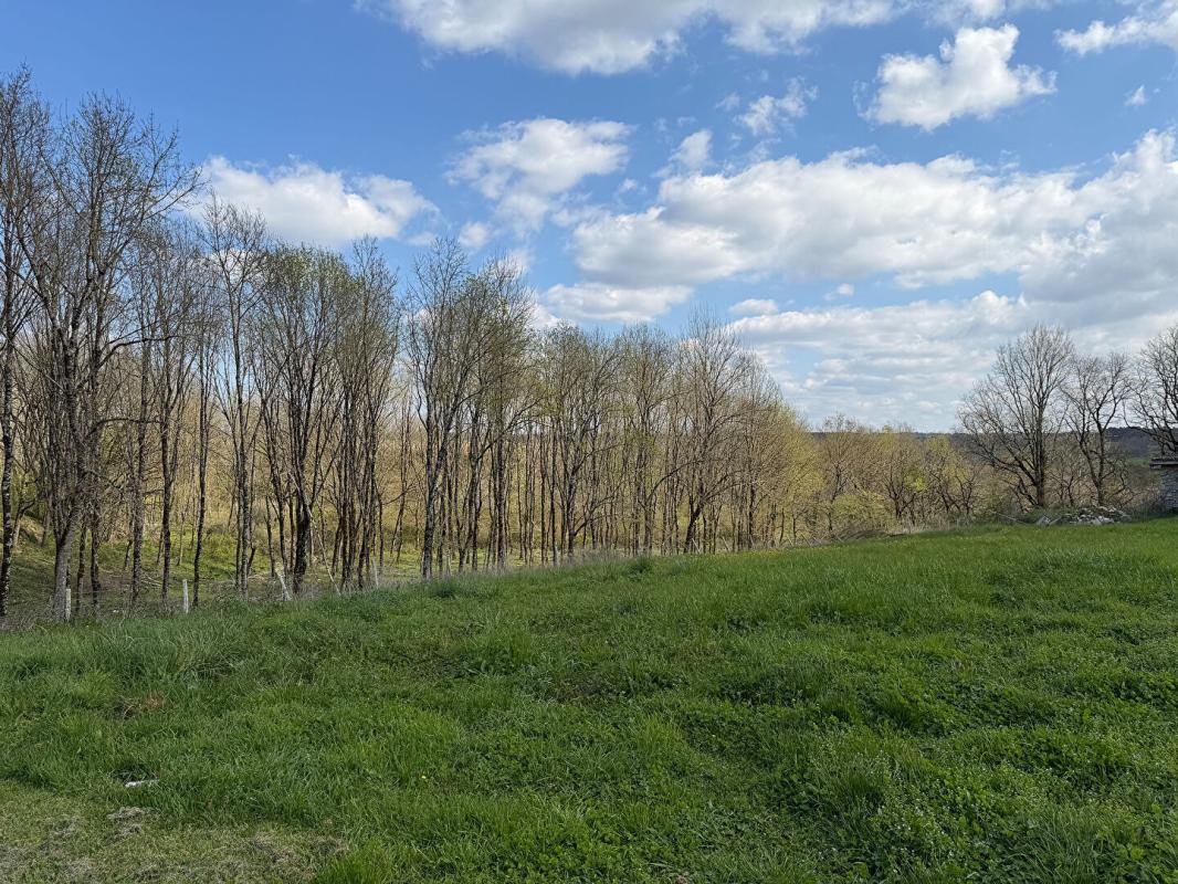 B&D 441537 Gascogne (16).jpg