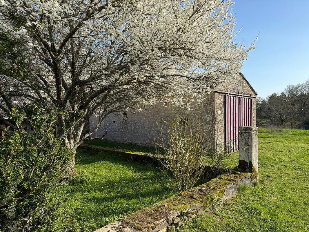 B&D 441537 Gascogne (7).jpg