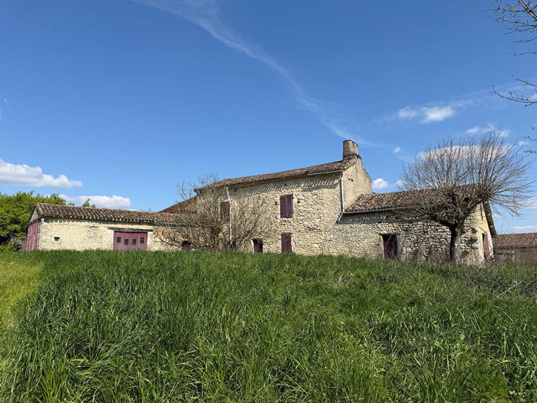 B&D 441537 Gascogne (8).jpg