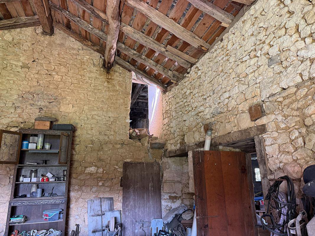 B&D 441537 Gascogne (9).jpg