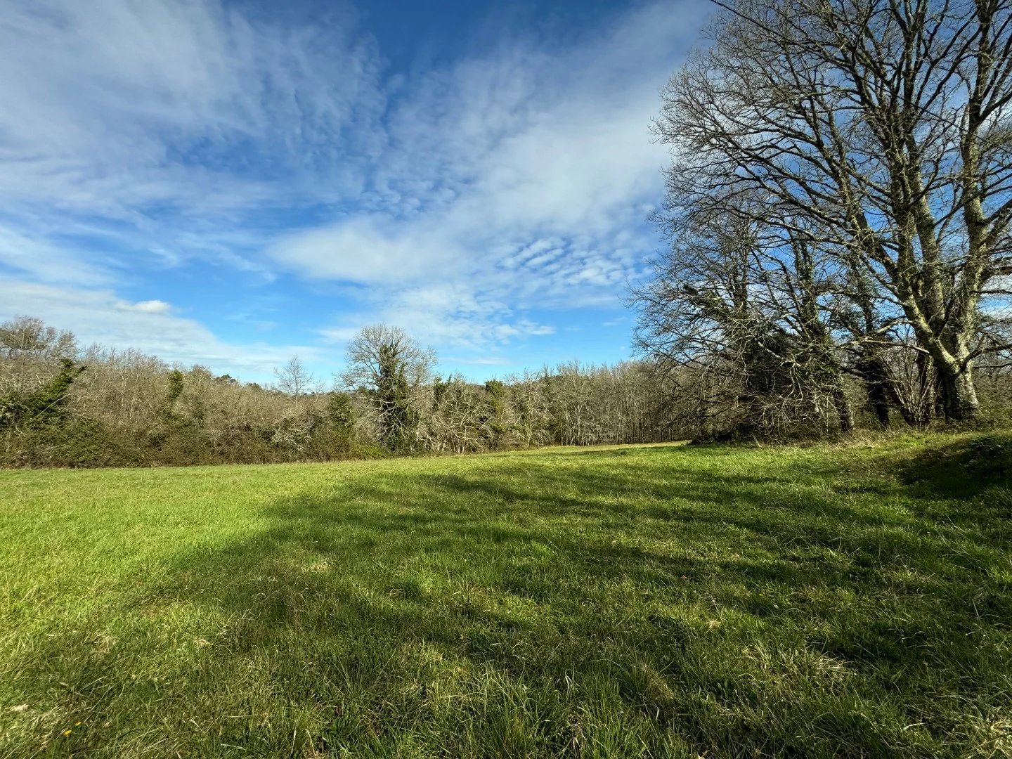 B&D 86181337 Lot (15).jpg