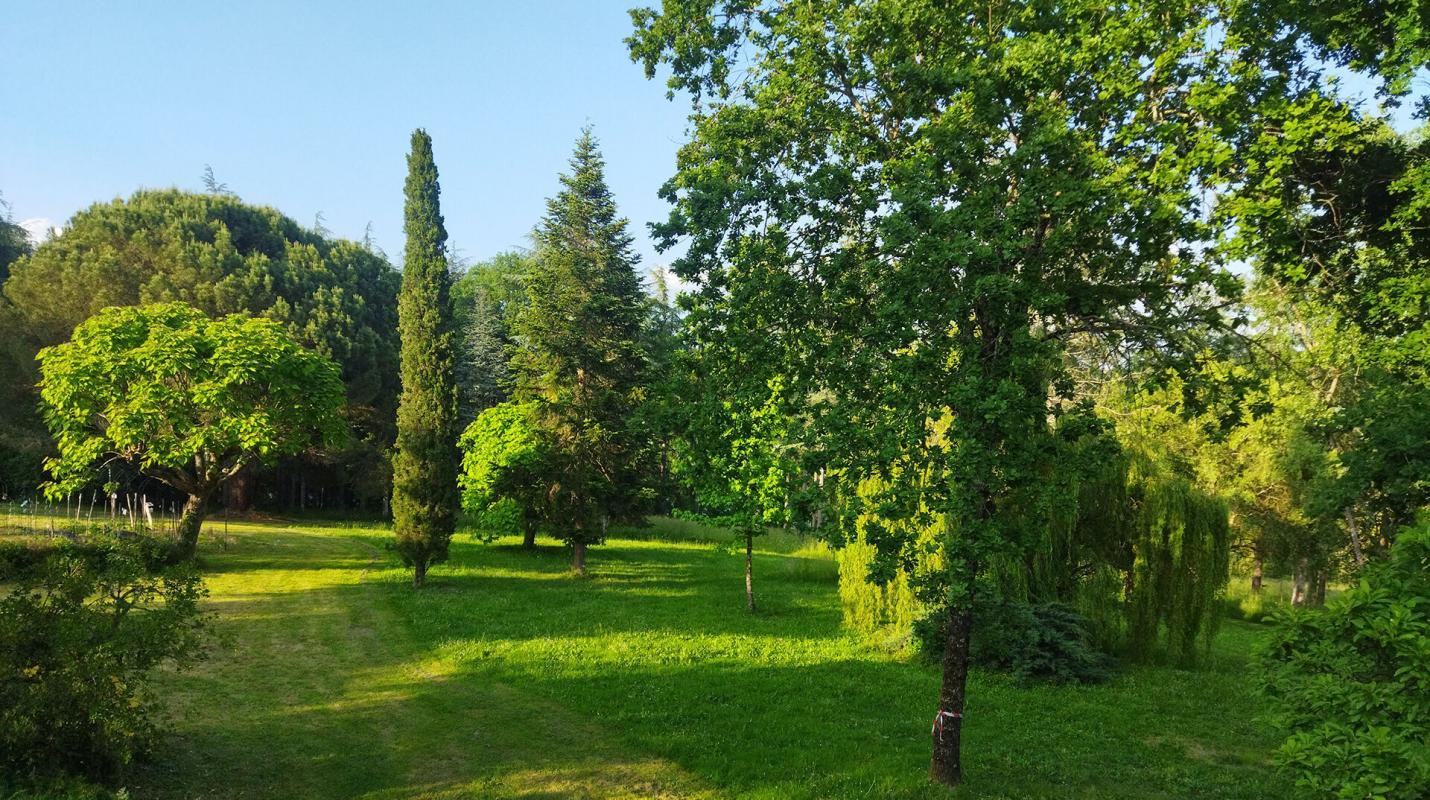 B&D France - 441562 - Lot-et-Garonne (14).jpg