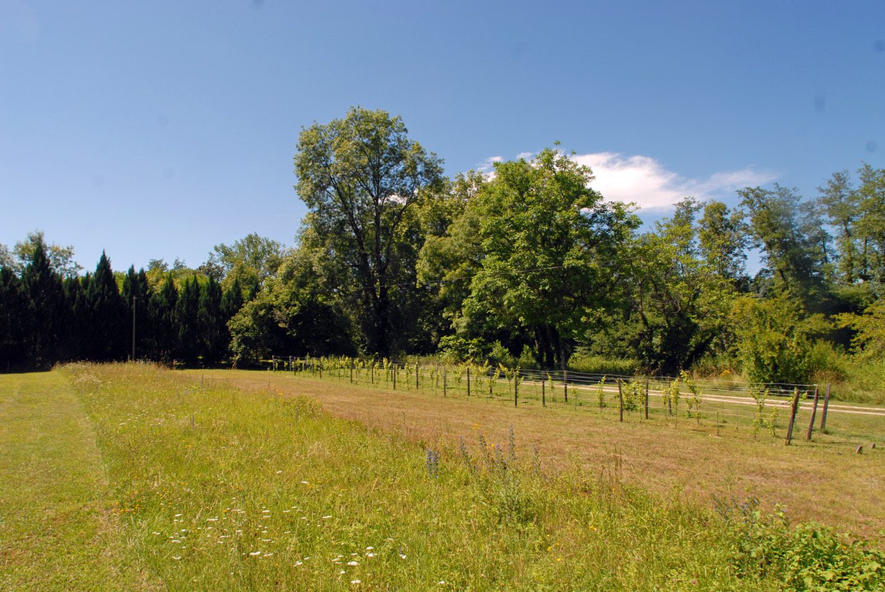 B&D France - Dordogne (28).jpeg