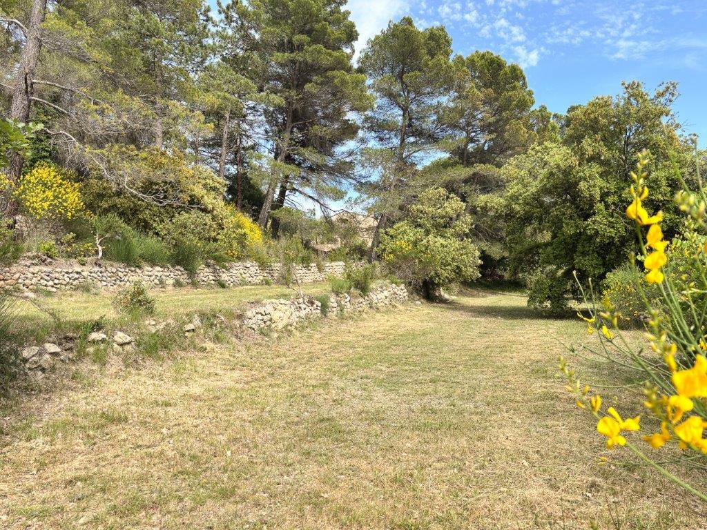 B&D France 10145 Provence (27).jpg