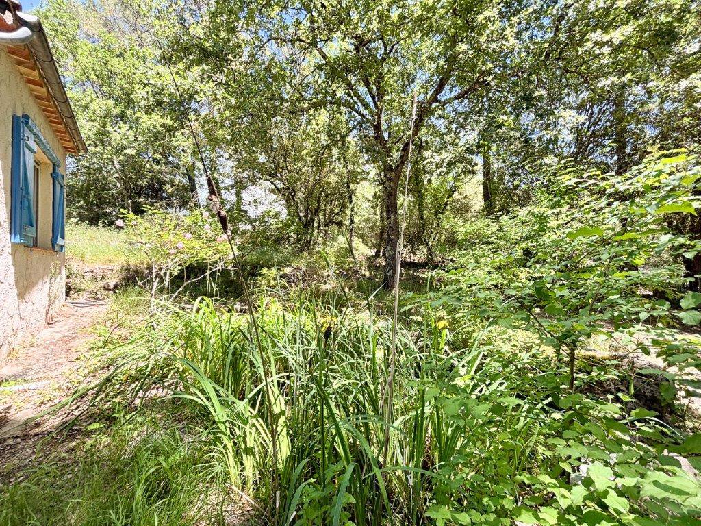 B&D France 10162 Provence (4).jpg