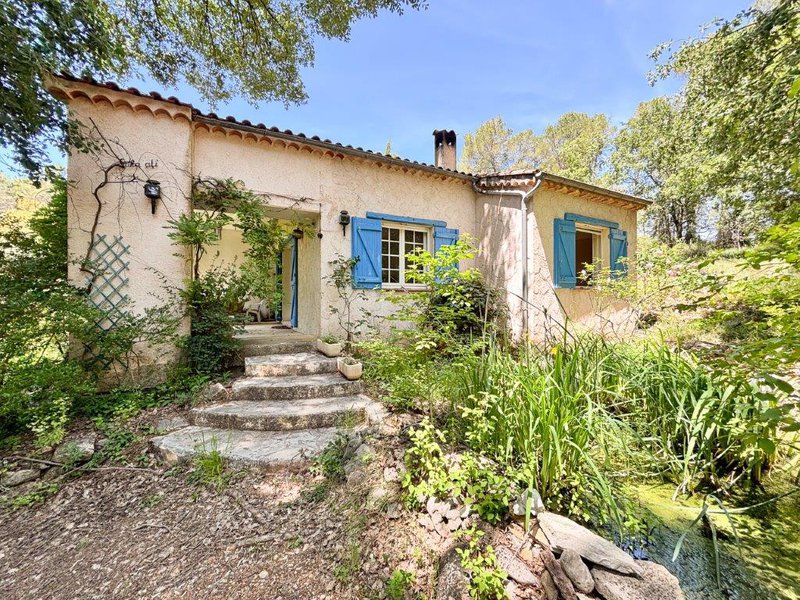 B&D France 10162 Provence (6).jpg