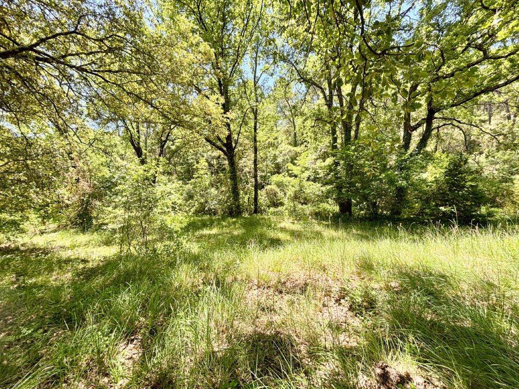 B&D France 10162 Provence (8).jpg