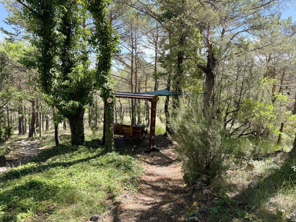 B&D France 10176 Provence (15).jpg