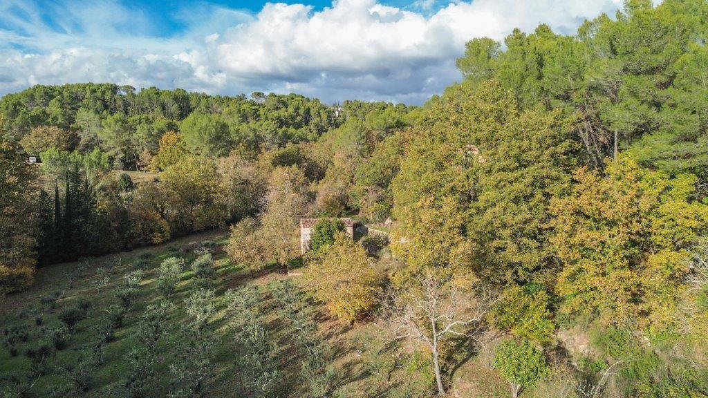 B&D France 10179 Provence (17).jpg