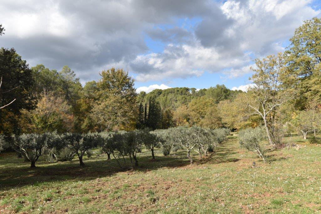 B&D France 10179 Provence (2).jpg