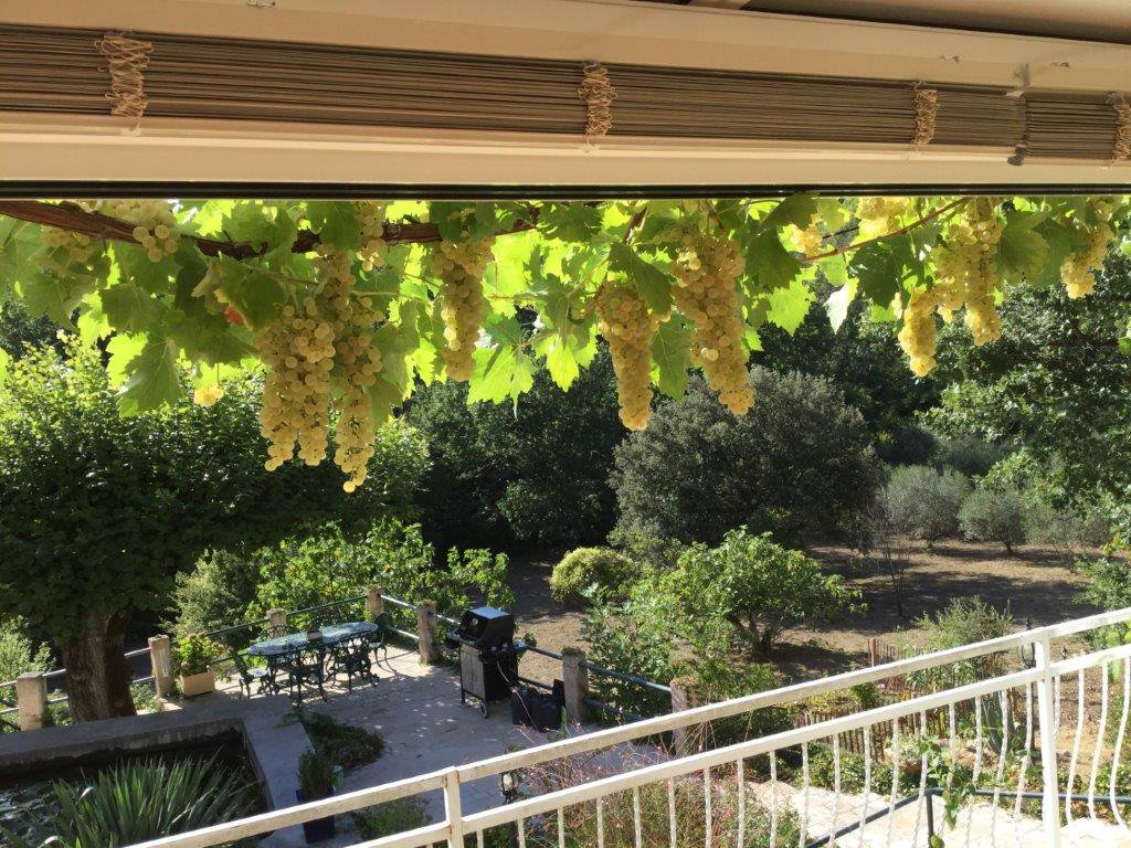 B&D France 10179 Provence (50).jpg