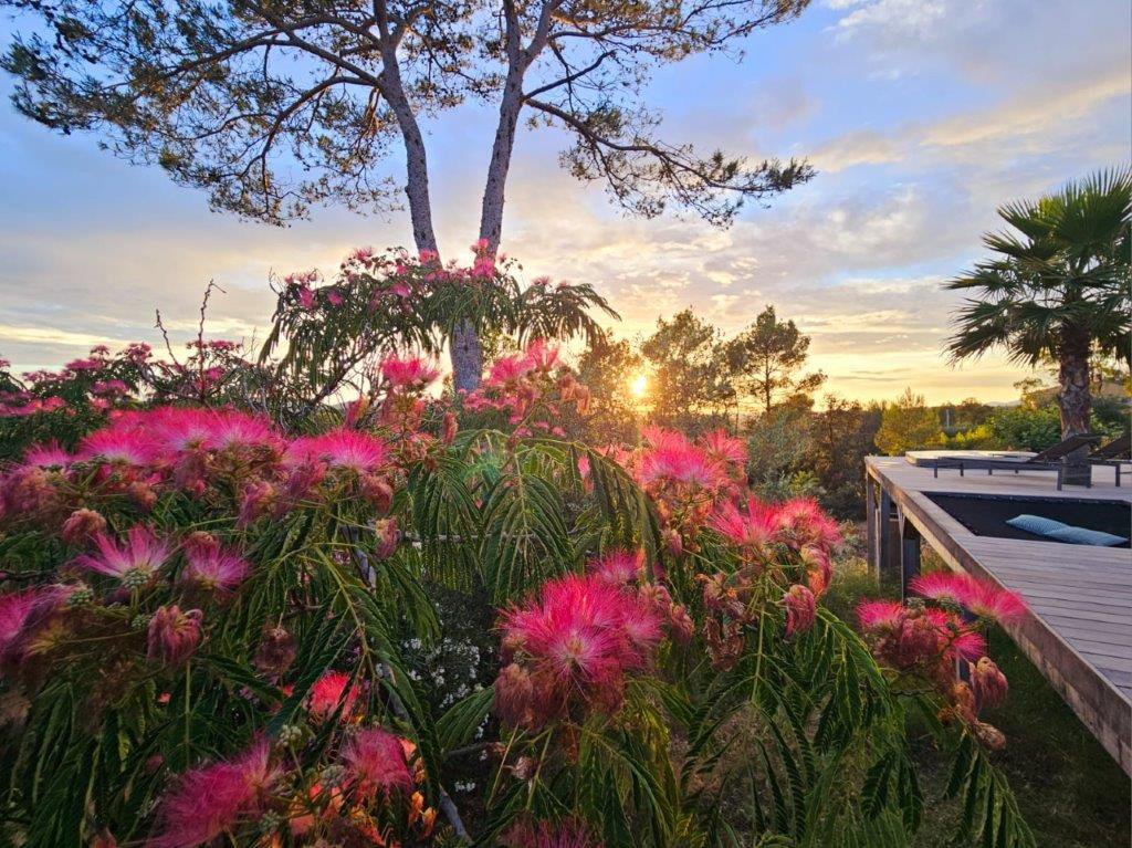 B&D France 10195 Provence (2).jpg