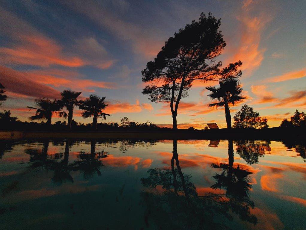 B&D France 10195 Provence (39).jpg