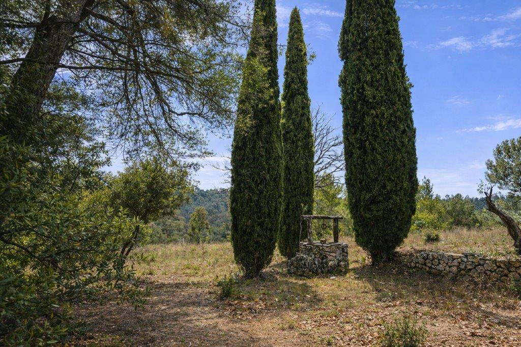 B&D France 10197 Provence (37).jpg