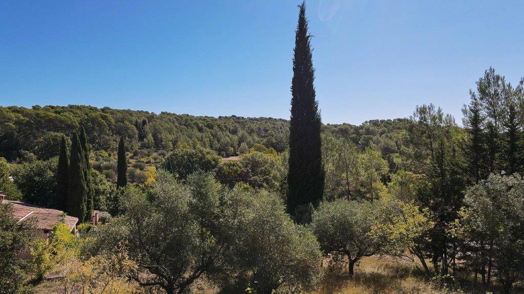 B&D France 10202 Provence (1).jpg