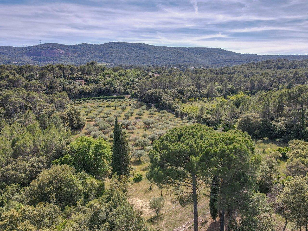 B&D France 10216 Provence (44).jpg