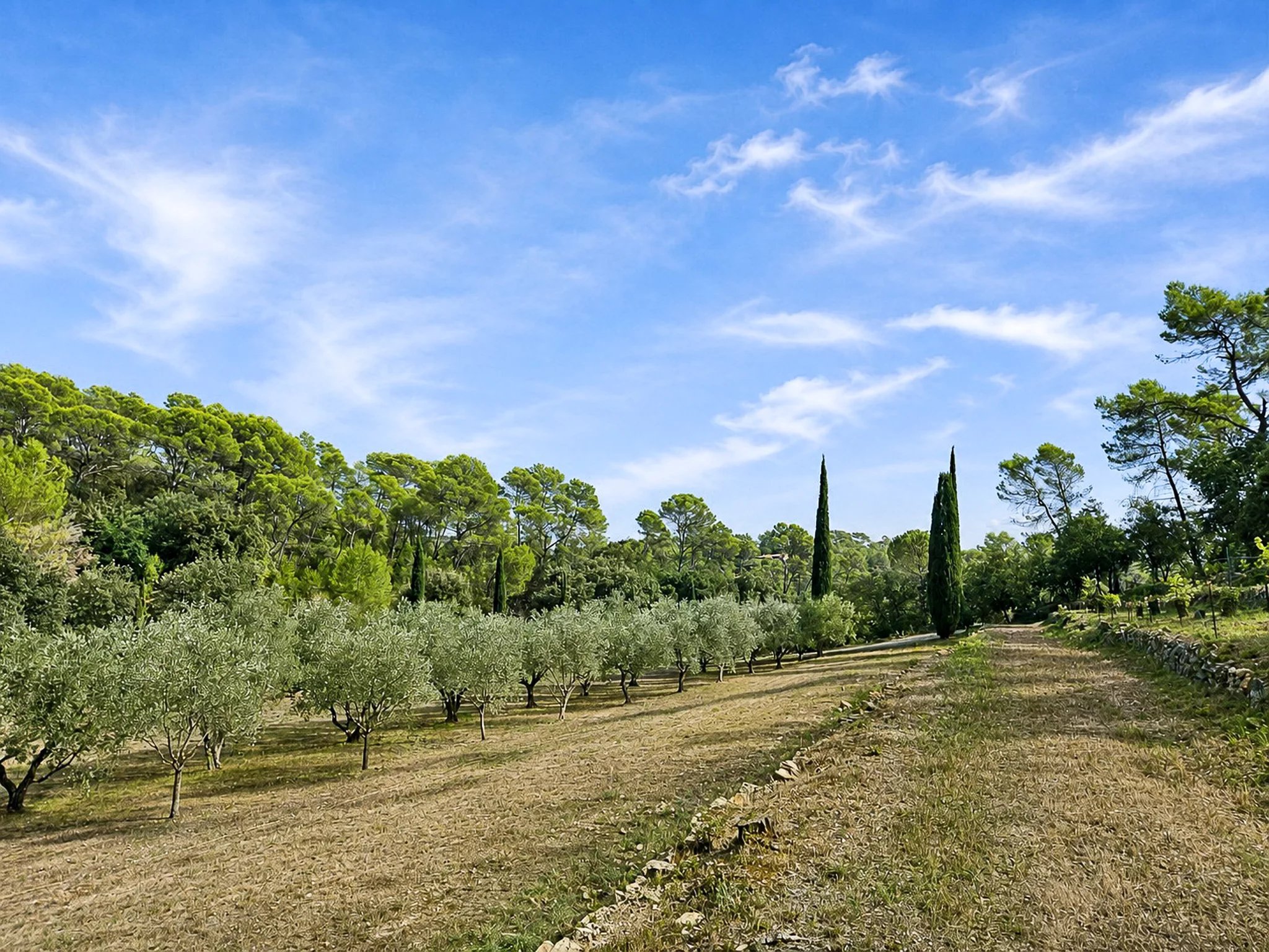 B&D France 10233 (38).jpg