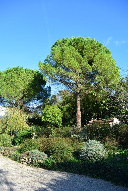 B&D France 2397 Provence (73).jpg