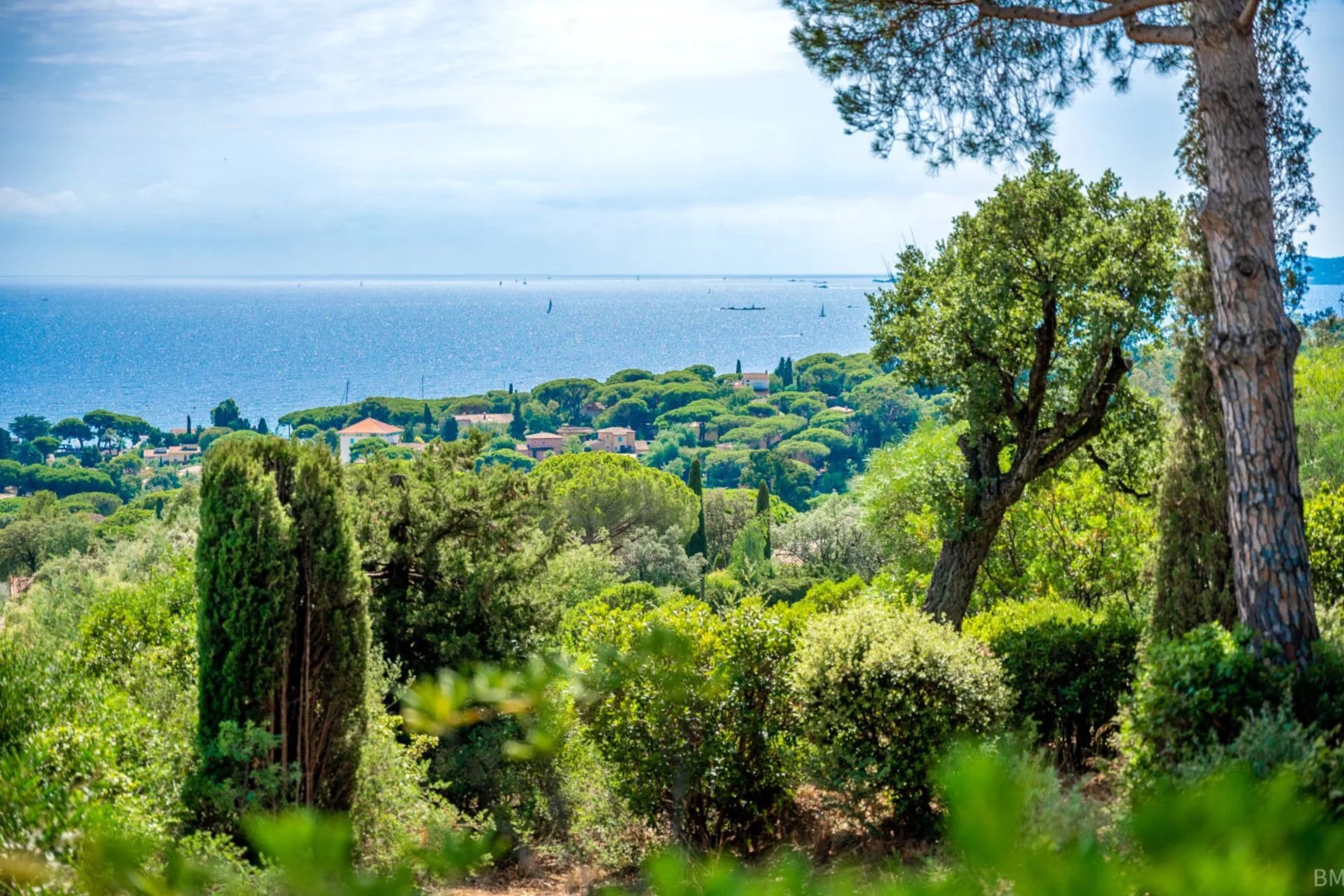 B&D France 2433 Provence (25).jpg