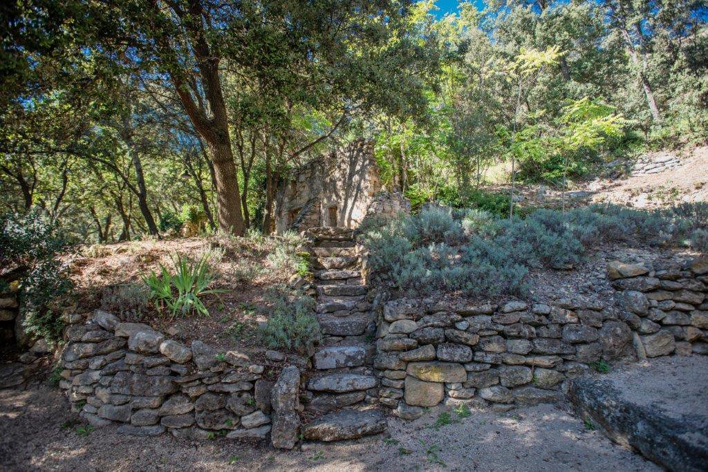 B&D France 2523 Provence (31).jpg