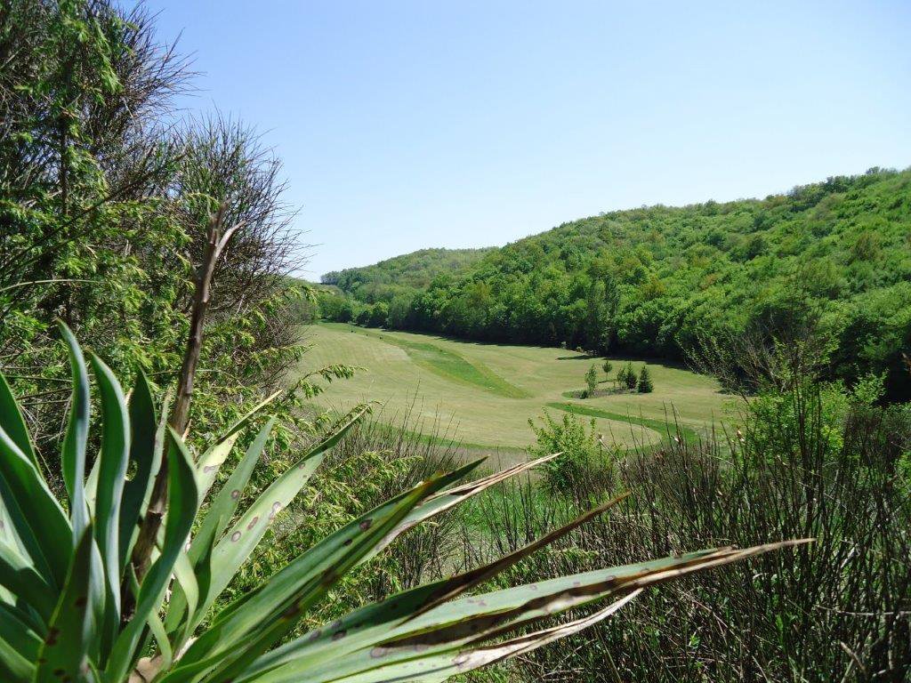 B&D France 2536 Gascogne (12).jpg