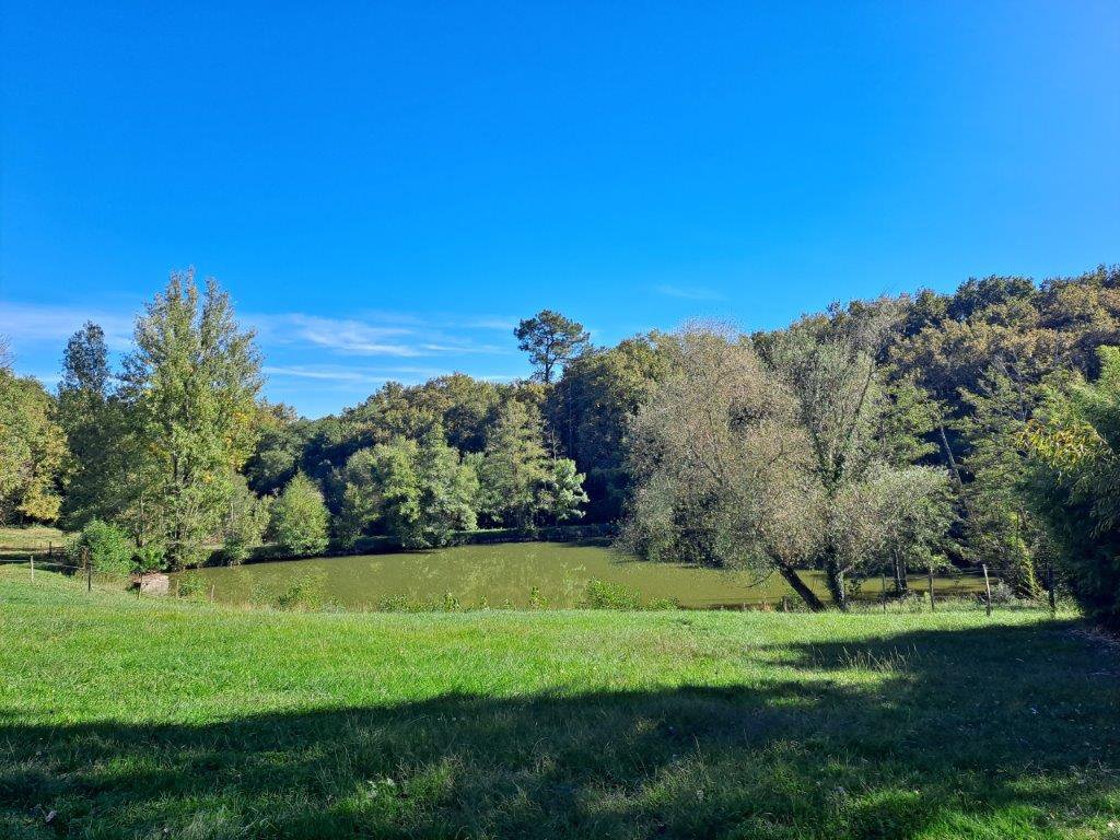 B&D France 33223 Gascogne (38).jpg