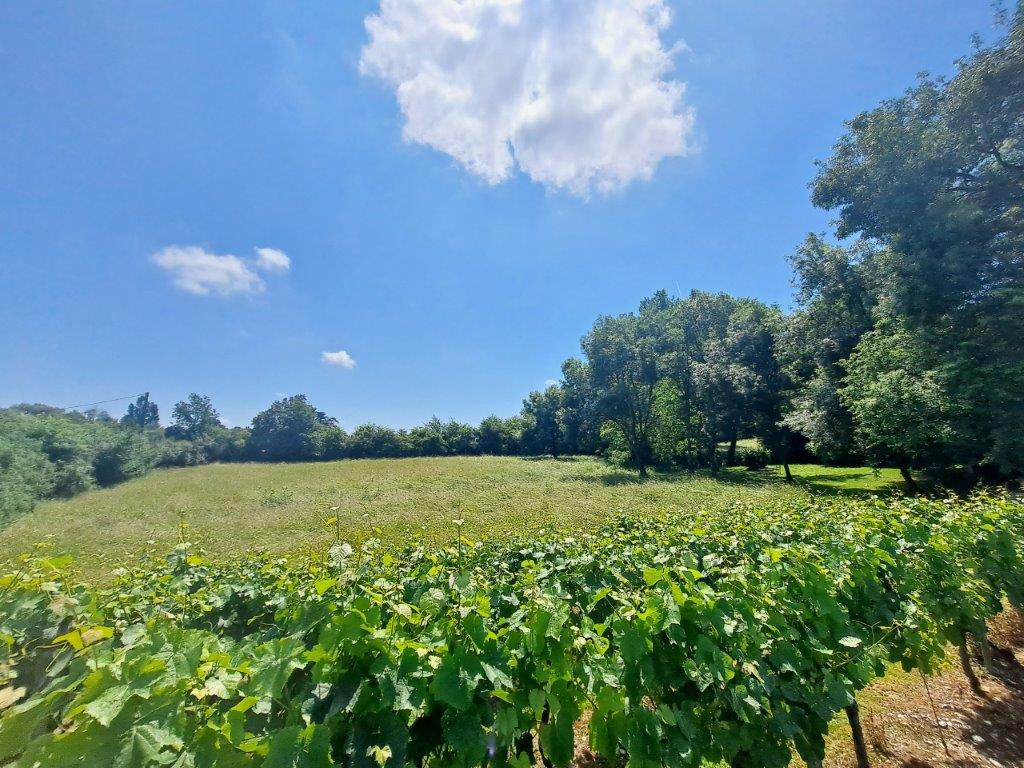 B&D France 33236 Gascogne (35).jpg