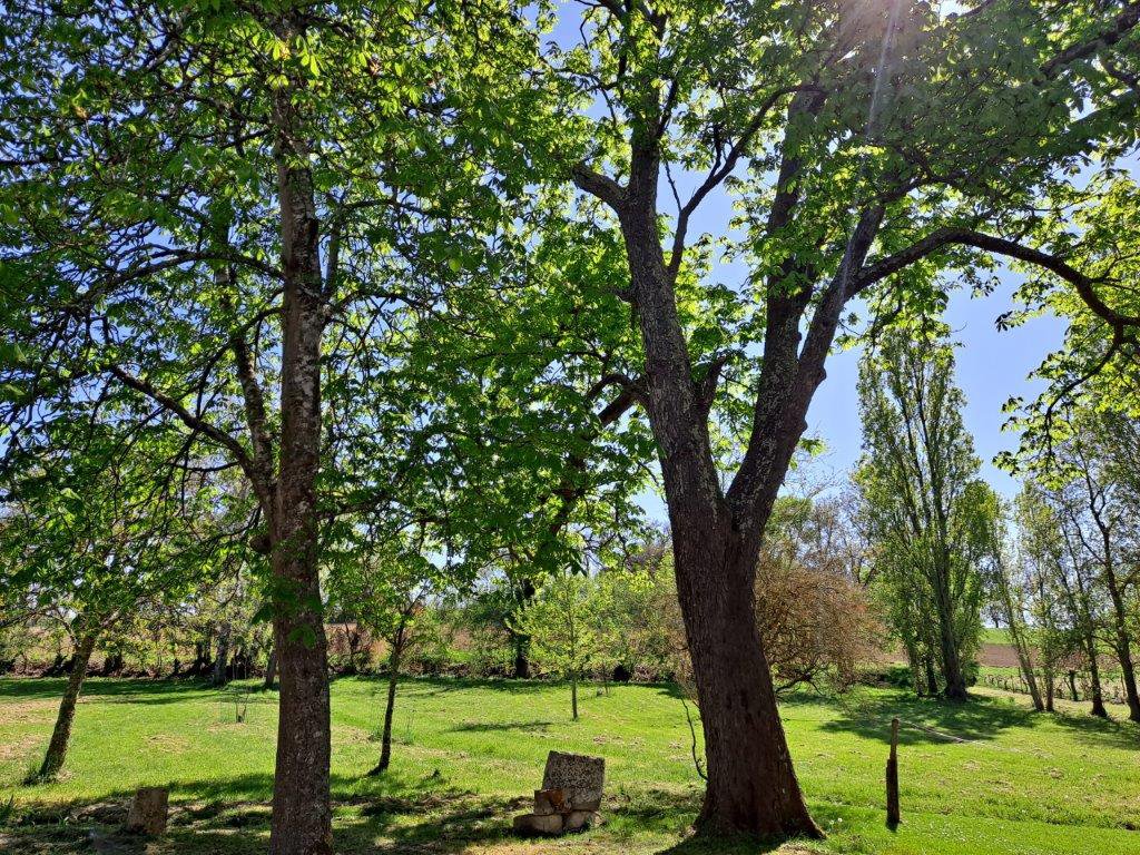 B&D France 33330 Gascogne (11).jpg