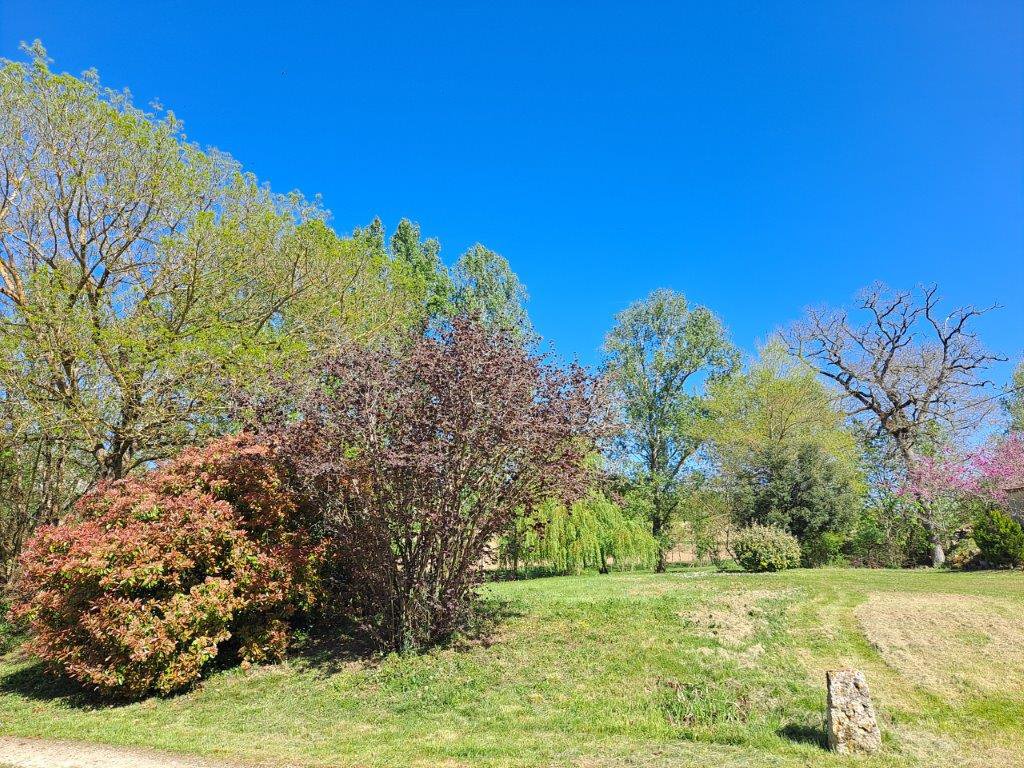 B&D France 33330 Gascogne (12).jpg