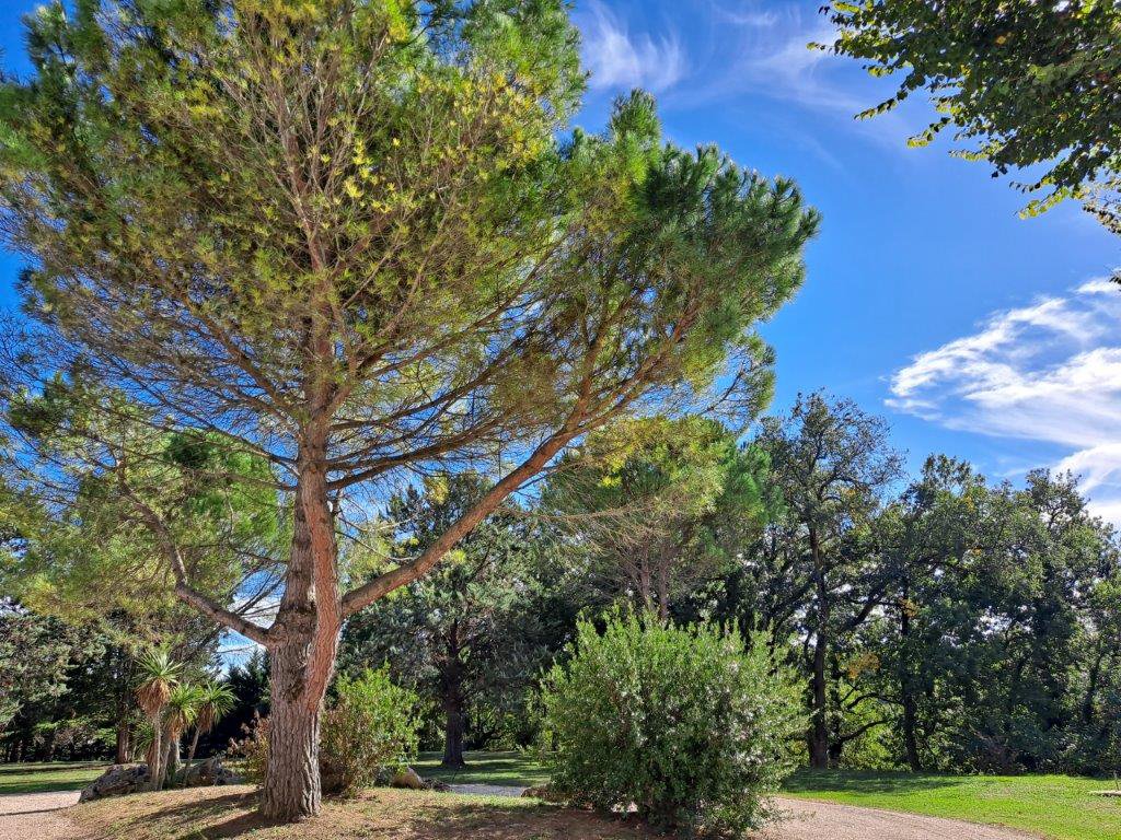 B&D France 33349 Gascogne (23).jpg