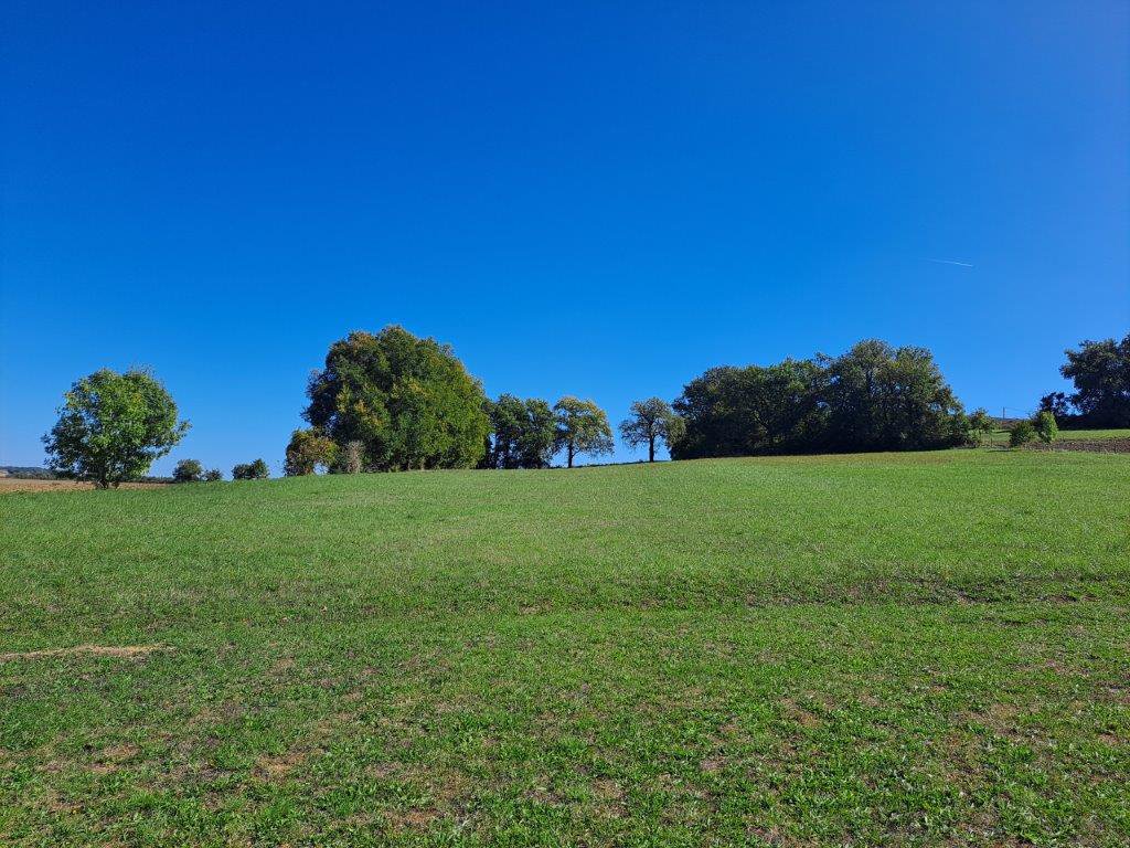 B&D France 33354 Gascogne (39).jpg