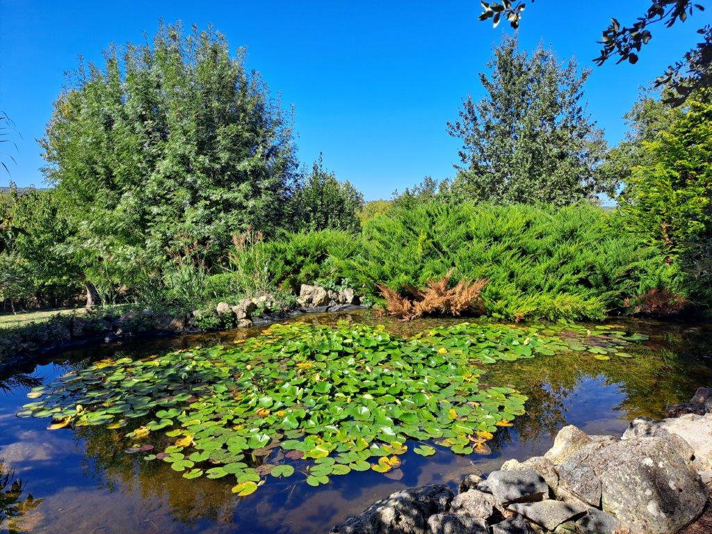 B&D France 33354 Gascogne (40).jpg