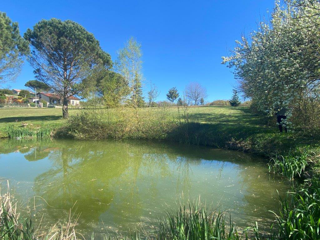 B&D France 33374 Gascogne (14).jpg