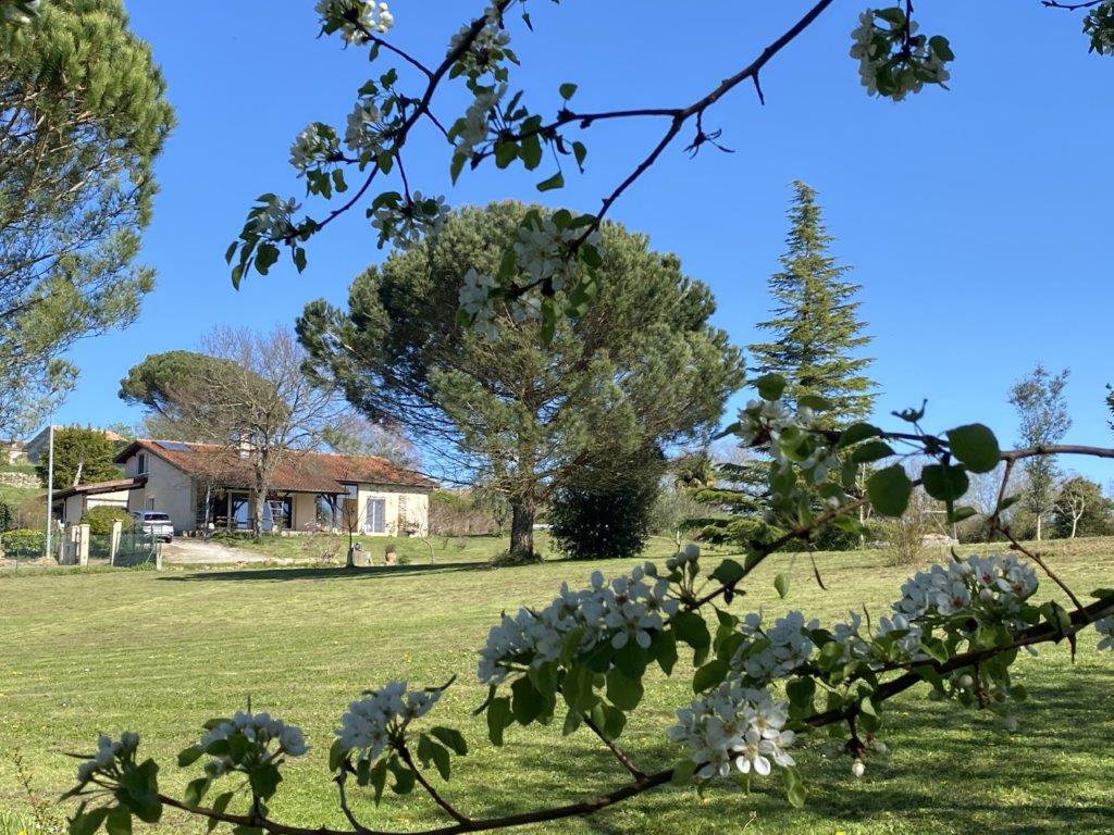 B&D France 33374 Gascogne (26).jpg