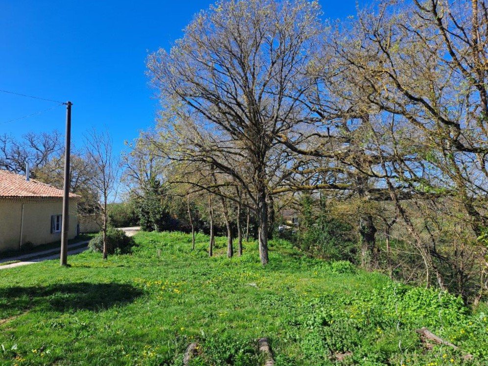 B&D France 33375 Gascogne (31).jpg