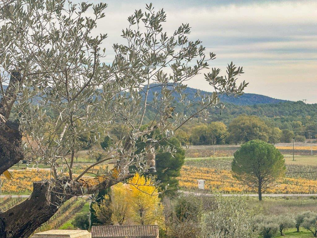 B&D France 3394 Provence (25).jpg