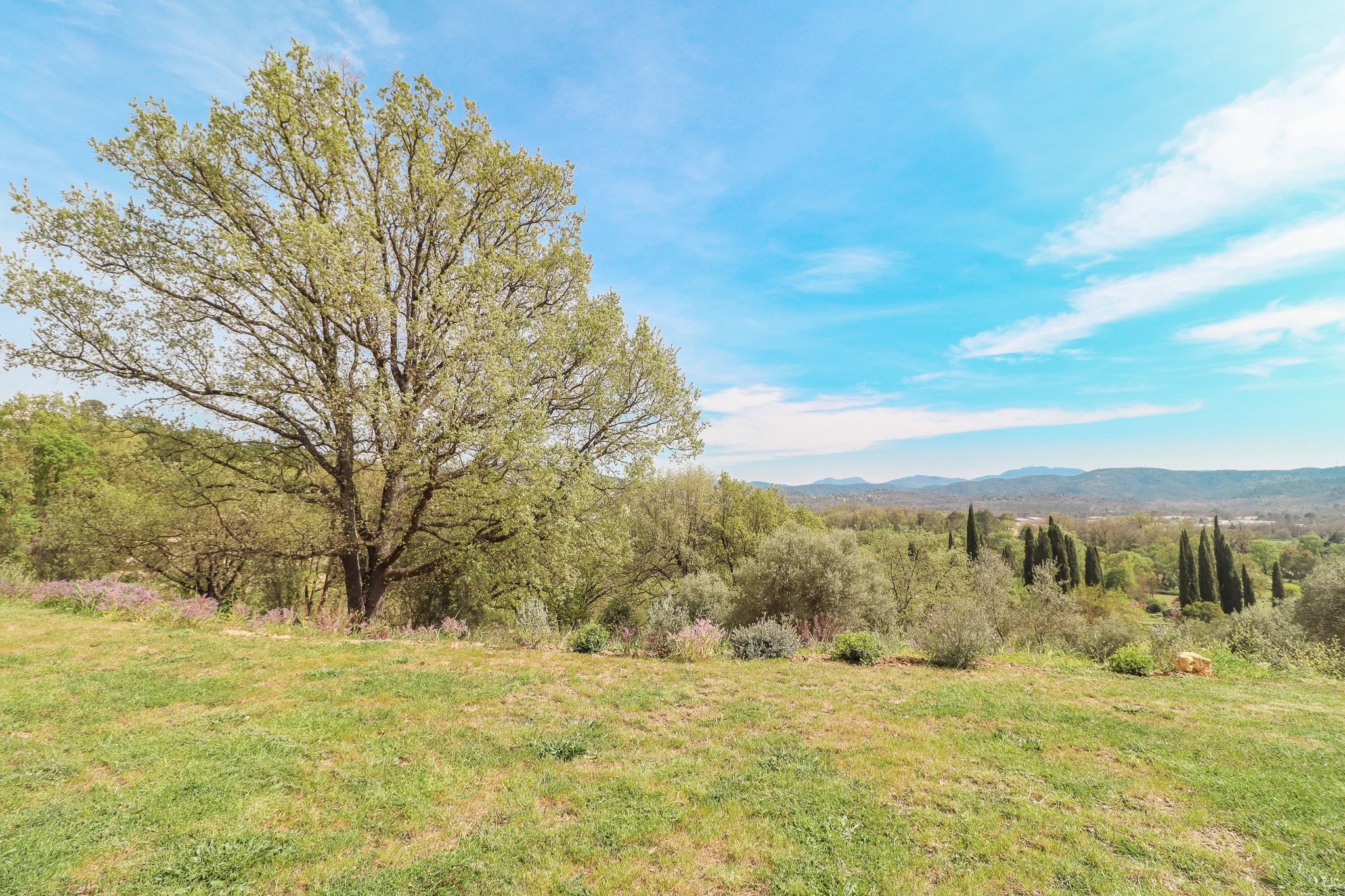 B&D France 3401 Provence (4).jpg