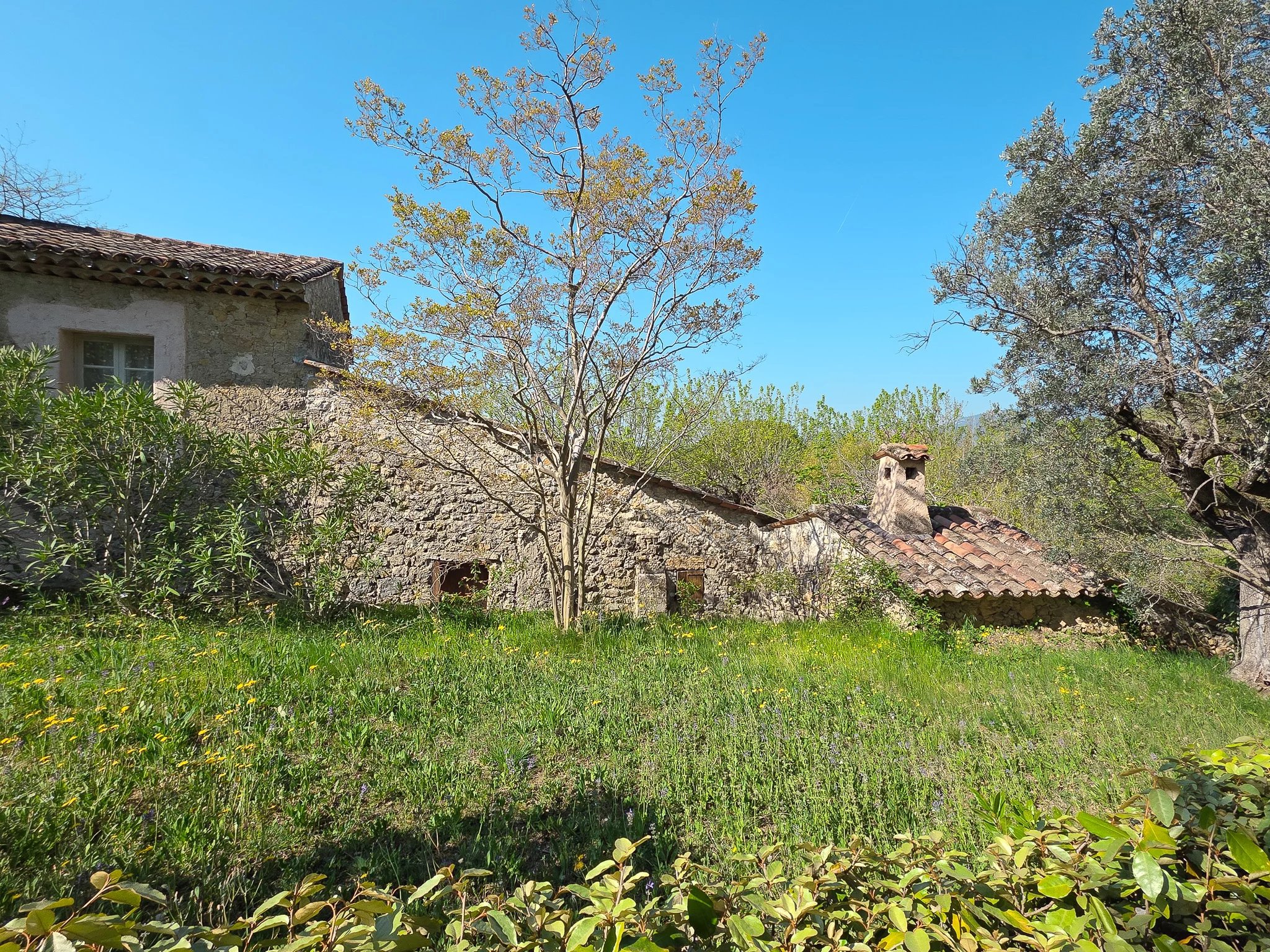B&D France 3405 Provence (24).jpg