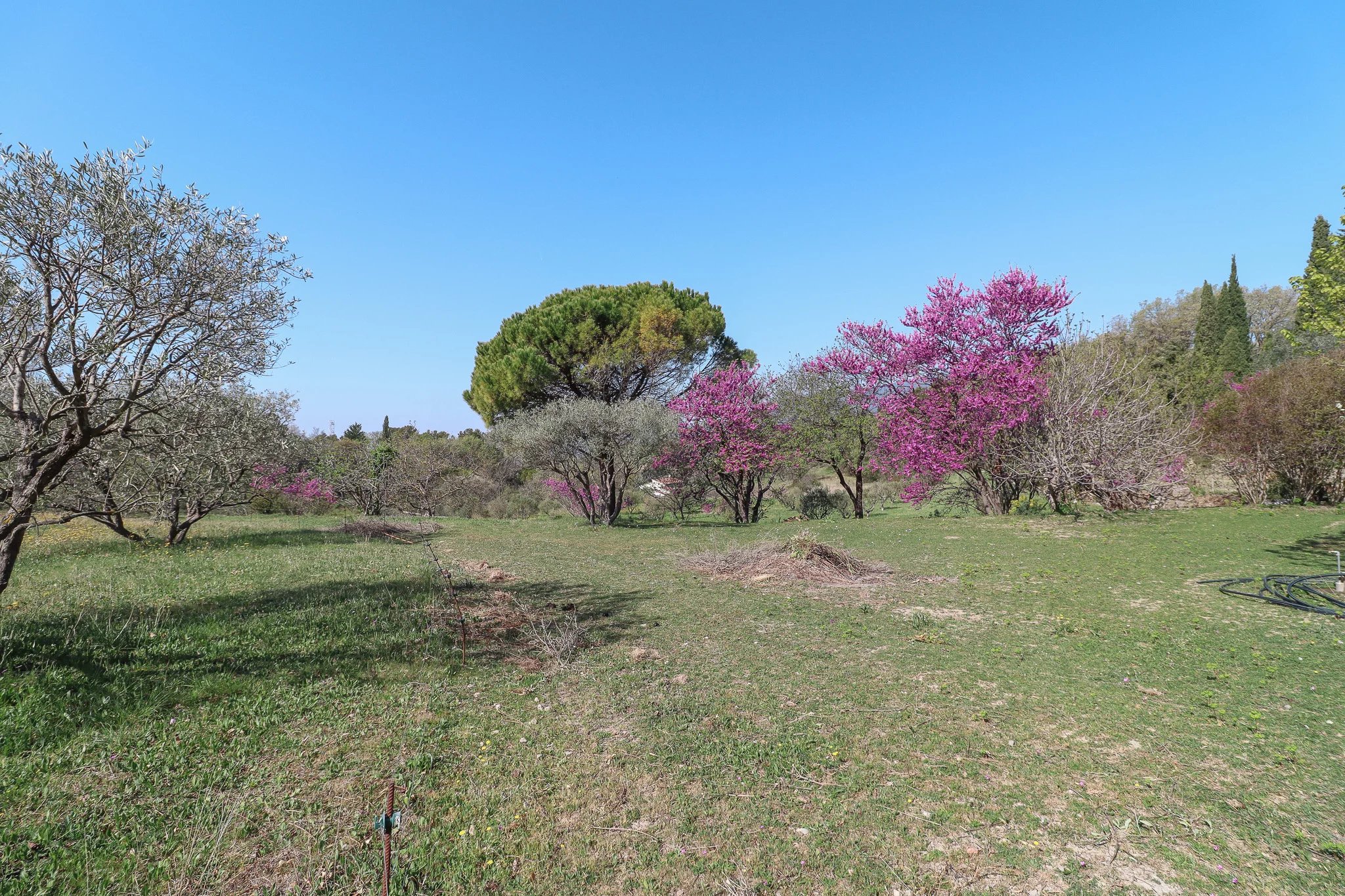 B&D France 3405 Provence (27).jpg