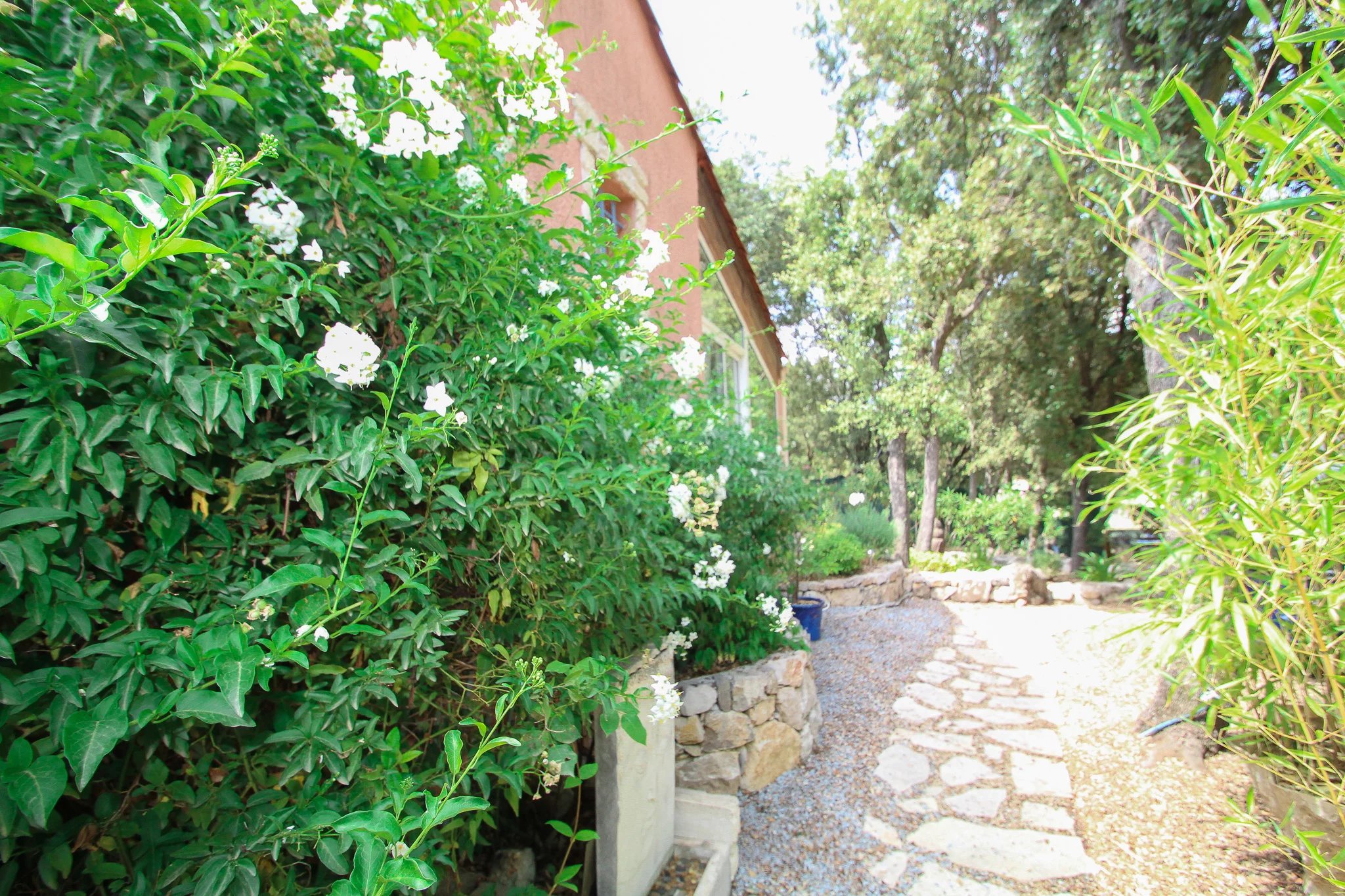 B&D France 3406 Provence (14).jpg