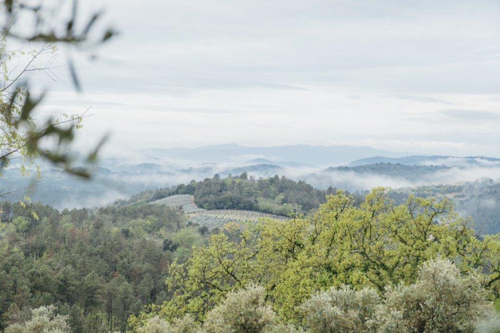 B&D France 4046 Provence (25).jpg