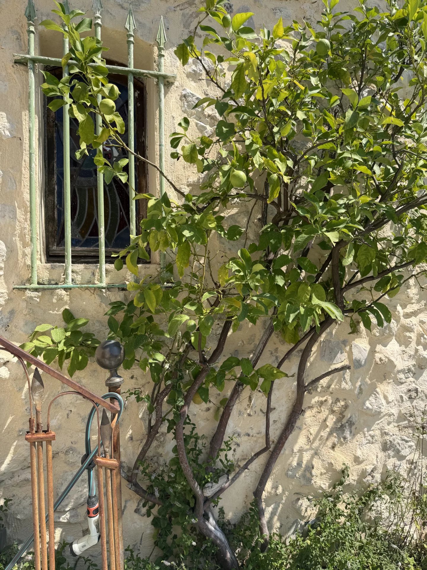 B&D France 4090 (22).jpg