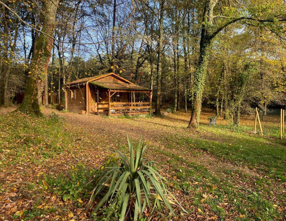 B&D France 429048 Dordogne (31).jpg