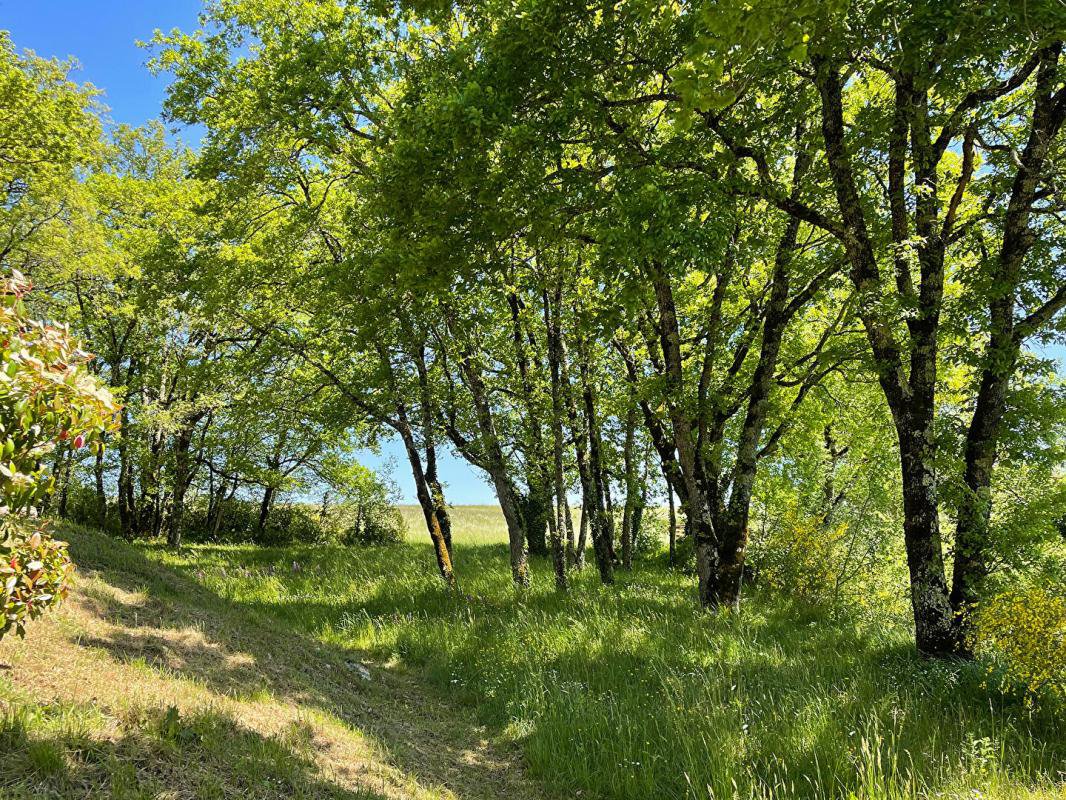 B&D France 443875 Lot (3).jpg