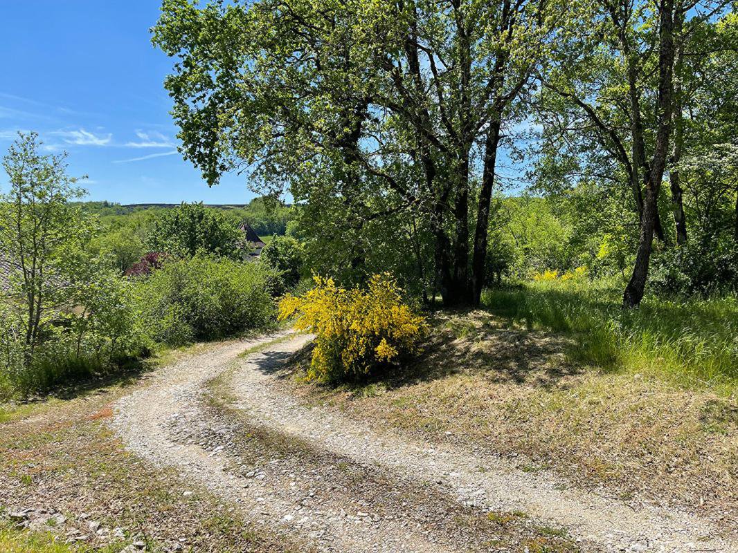 B&D France 443875 Lot (4).jpg